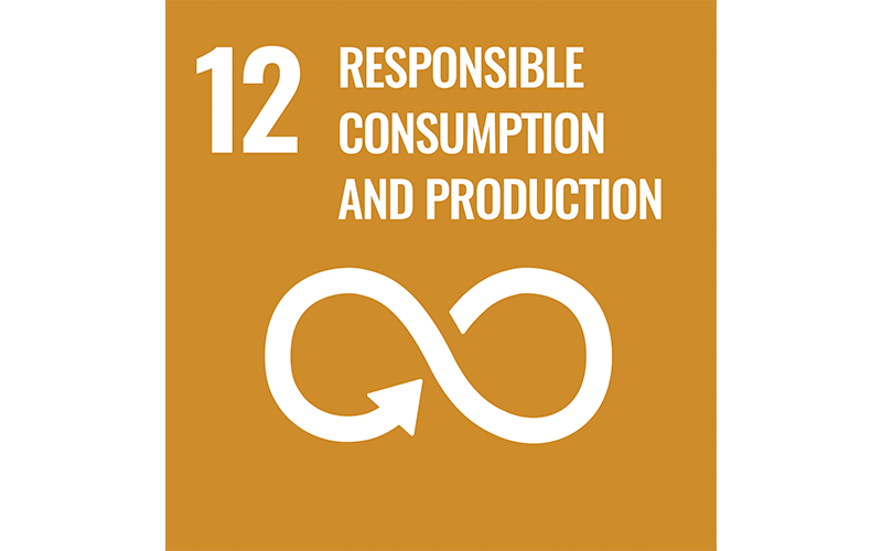 Responsible Consumption and Production Responsible Consumption and Production