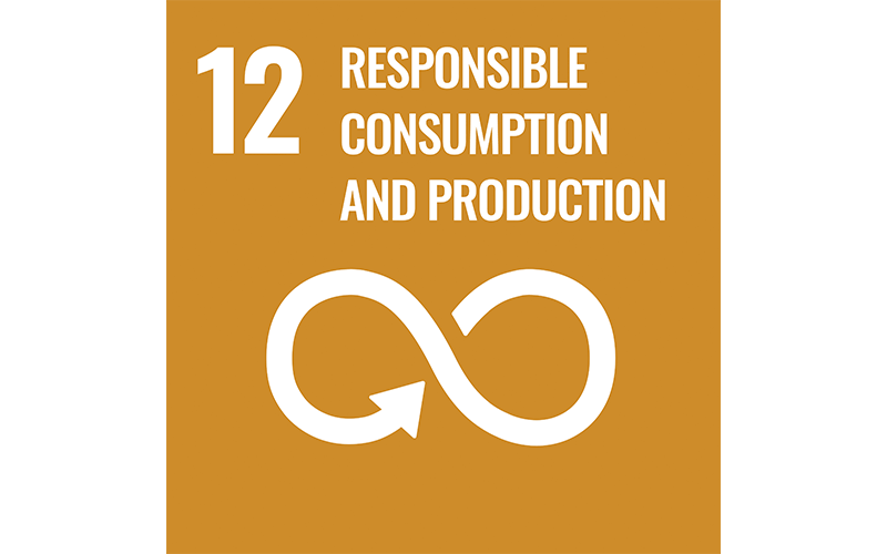 Responsible Consumption and Production