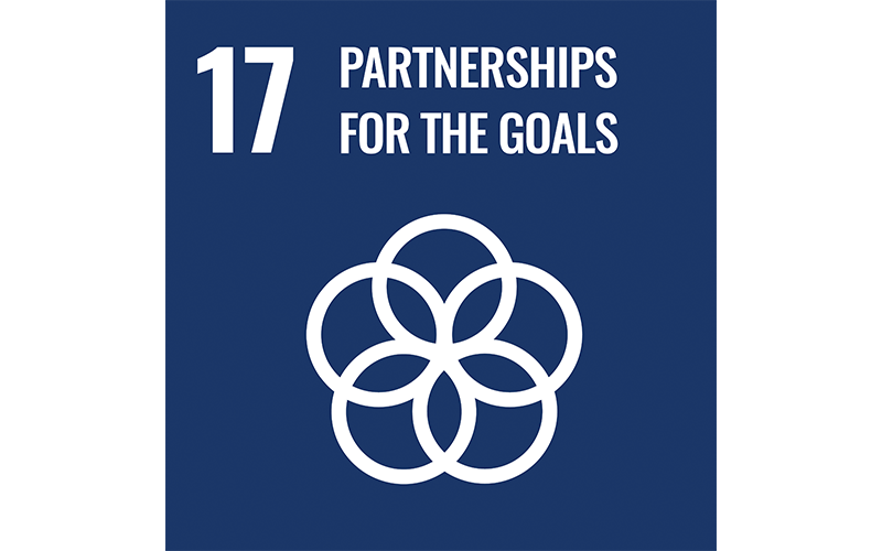 Partnerships For The Goals