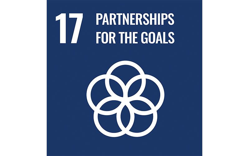 Partnerships For The Goals Partnerships For The Goals