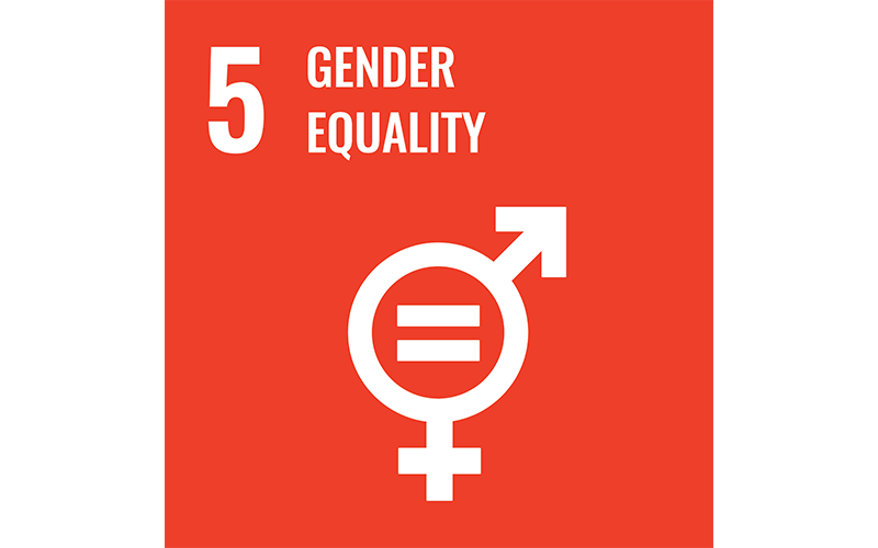 Gender Equality Gender Equality