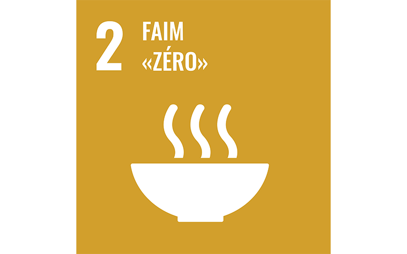 Zero Hunger