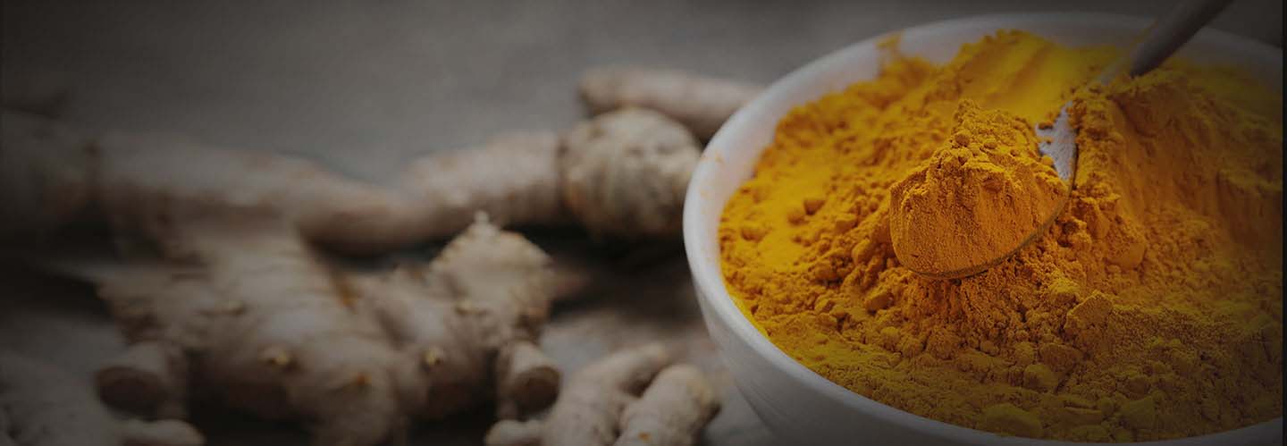 Zaiqaydar Adrak Powder