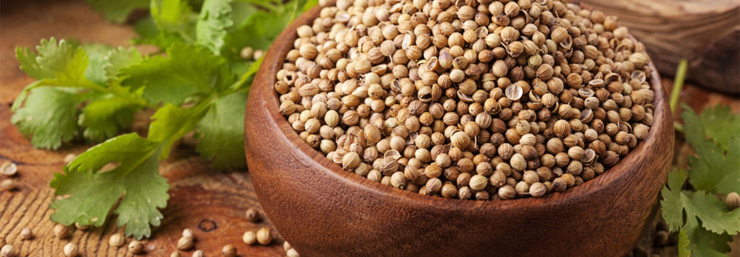 Coriander Whole